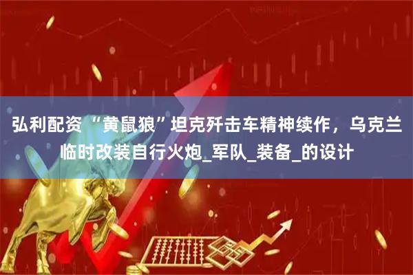 弘利配资 “黄鼠狼”坦克歼击车精神续作，乌克兰临时改装自行火炮_军队_装备_的设计