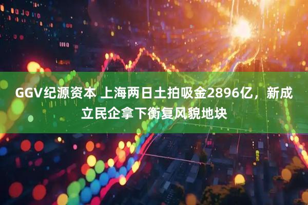 GGV纪源资本 上海两日土拍吸金2896亿，新成立民企拿下衡复风貌地块