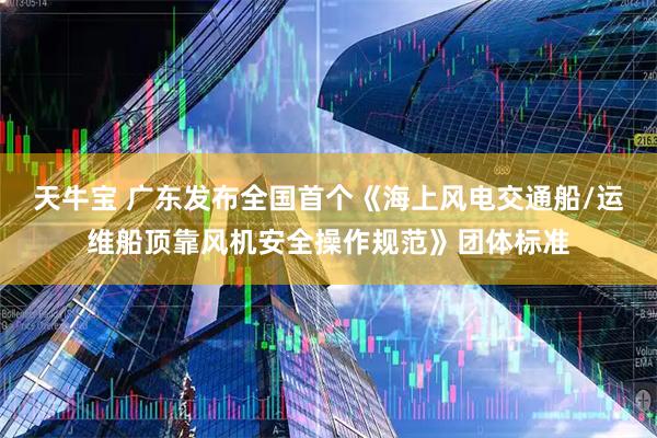 天牛宝 广东发布全国首个《海上风电交通船/运维船顶靠风机安全操作规范》团体标准